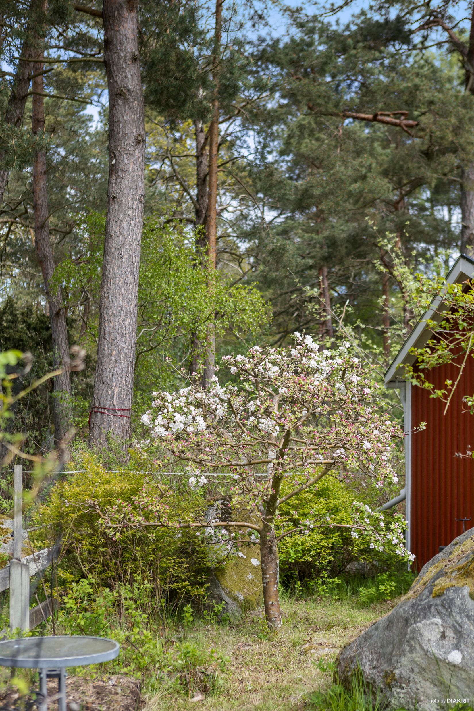 Övrigt, Kofsavägen 193, Kofsa, Karlshamn