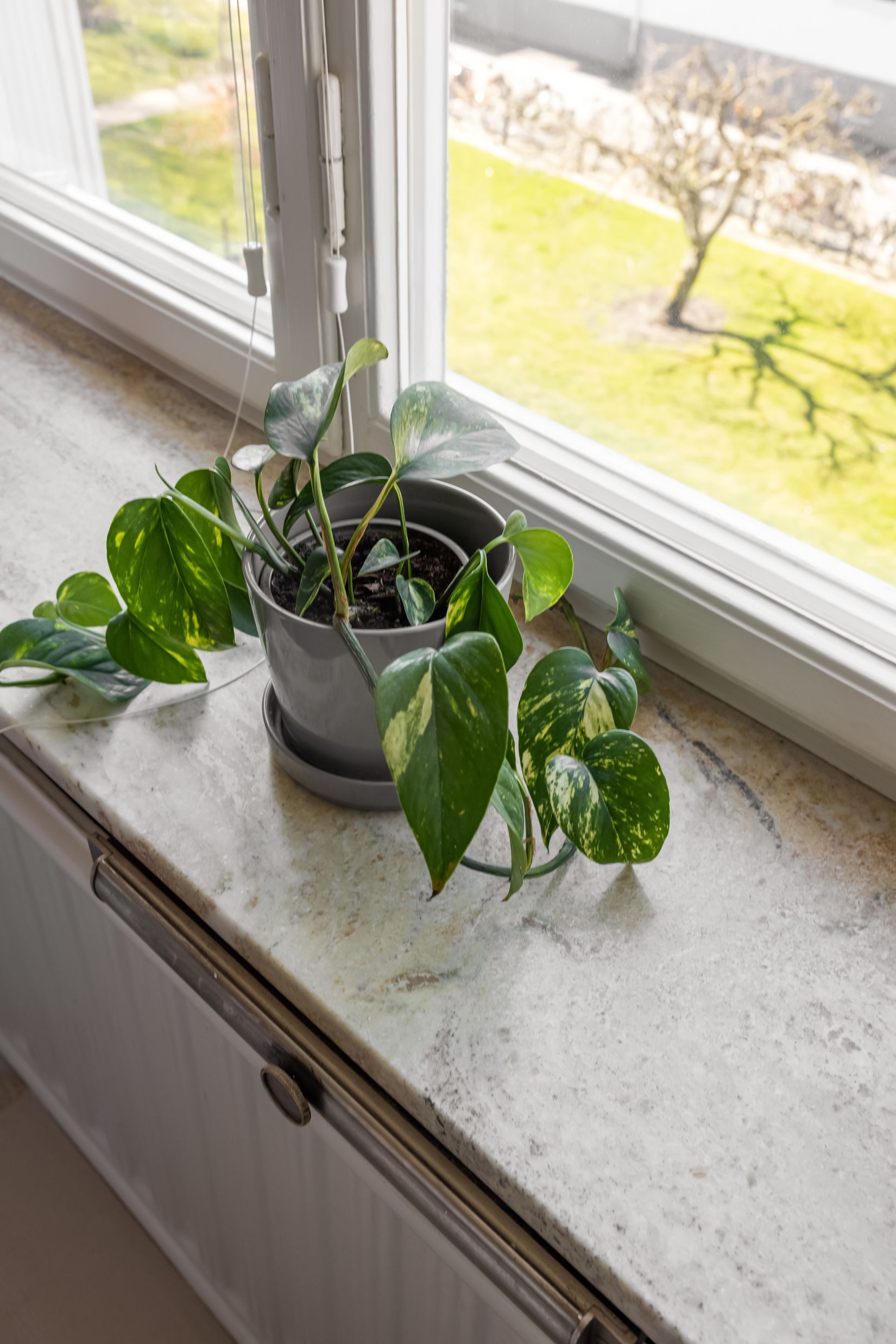 Bostadsrätt, Södra Esplanaden 18 B, Lund - Centrum, Lund