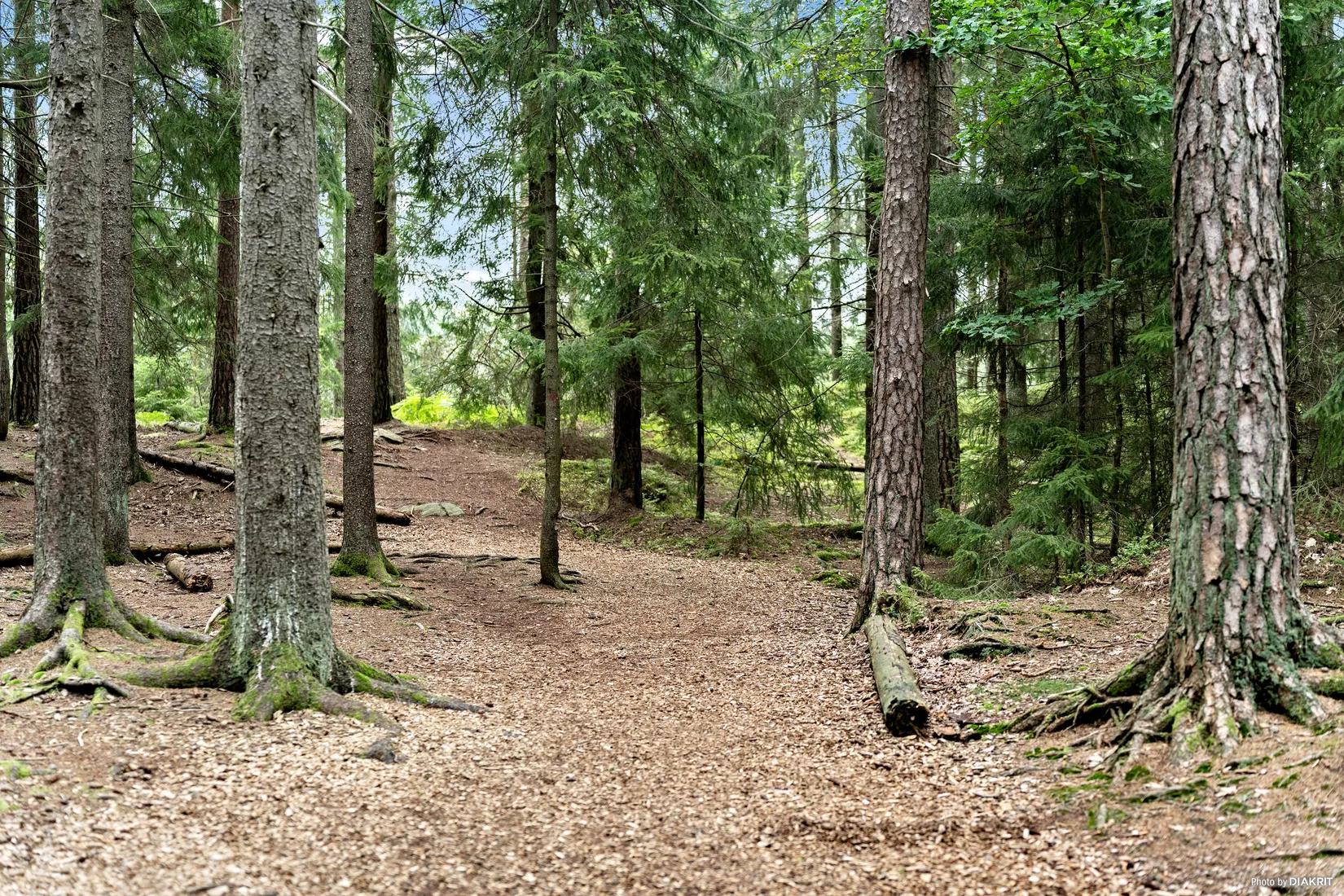 Bostadsrätt, Kvarnbacken 52, Kvarnbacken, Alingsås