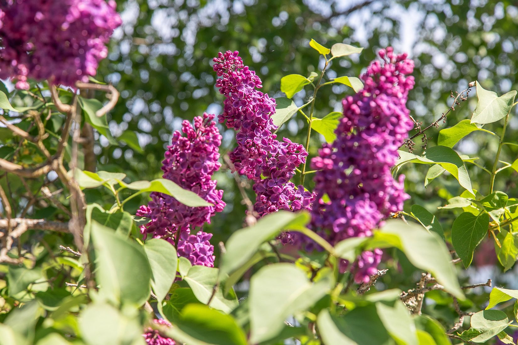 Bostadsrätt, Ljuskärrsvägen 6, Nacka