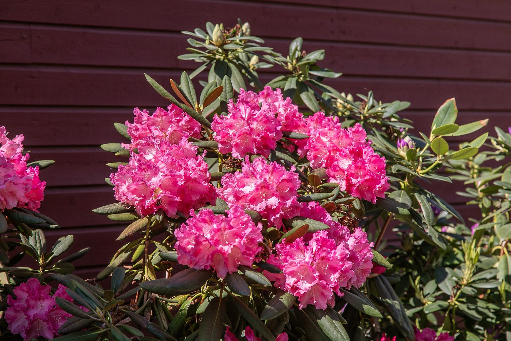 Bostadsrätt, Ljuskärrsvägen 6, Nacka