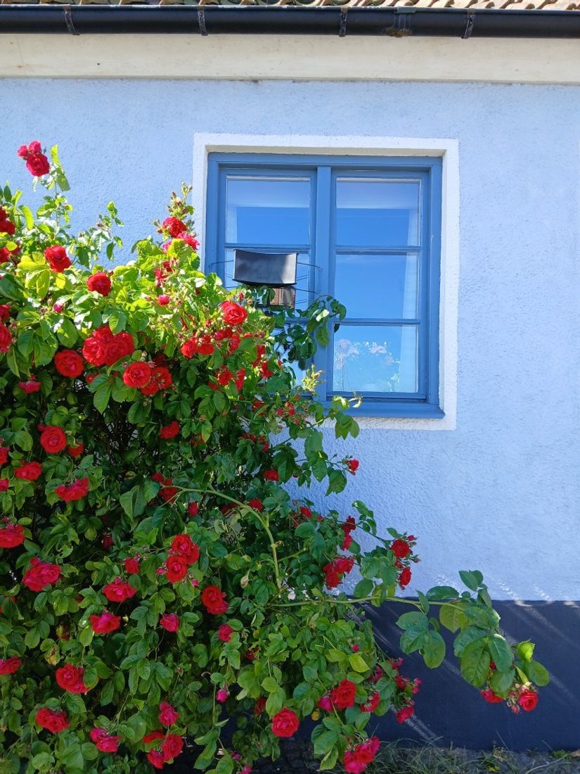 Villa, Hamngatan 17, Simrishamn - gamla stan, Simrishamn