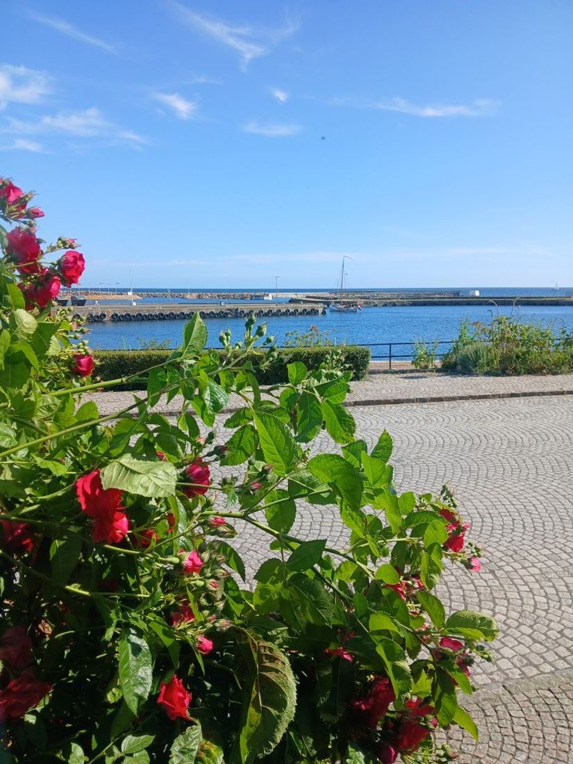 Villa, Hamngatan 17, Simrishamn - gamla stan, Simrishamn