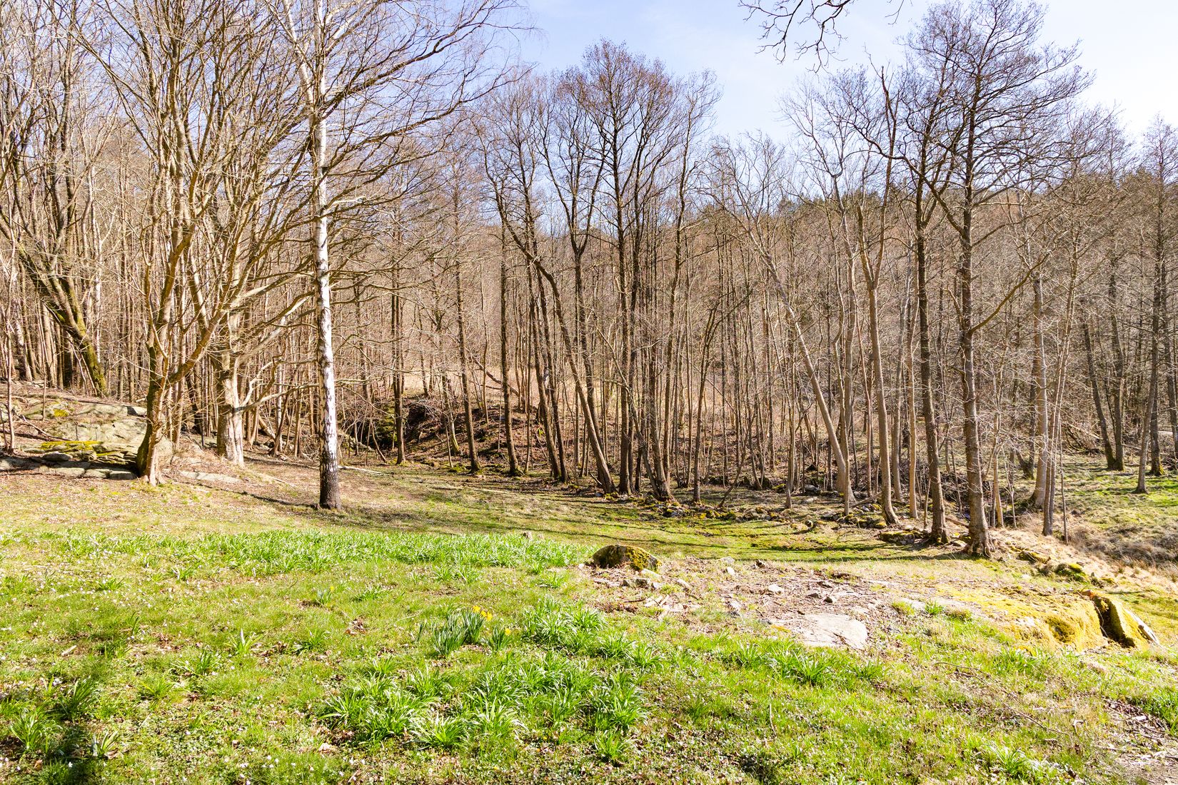 Tomt, Säve djupedalsväg 61B, Säve, Göteborg