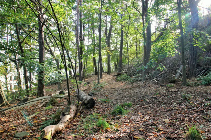 Bostadsrätt, Fruktträdsgatan 9, Centrala Hisingen Hildedal, Göteborg