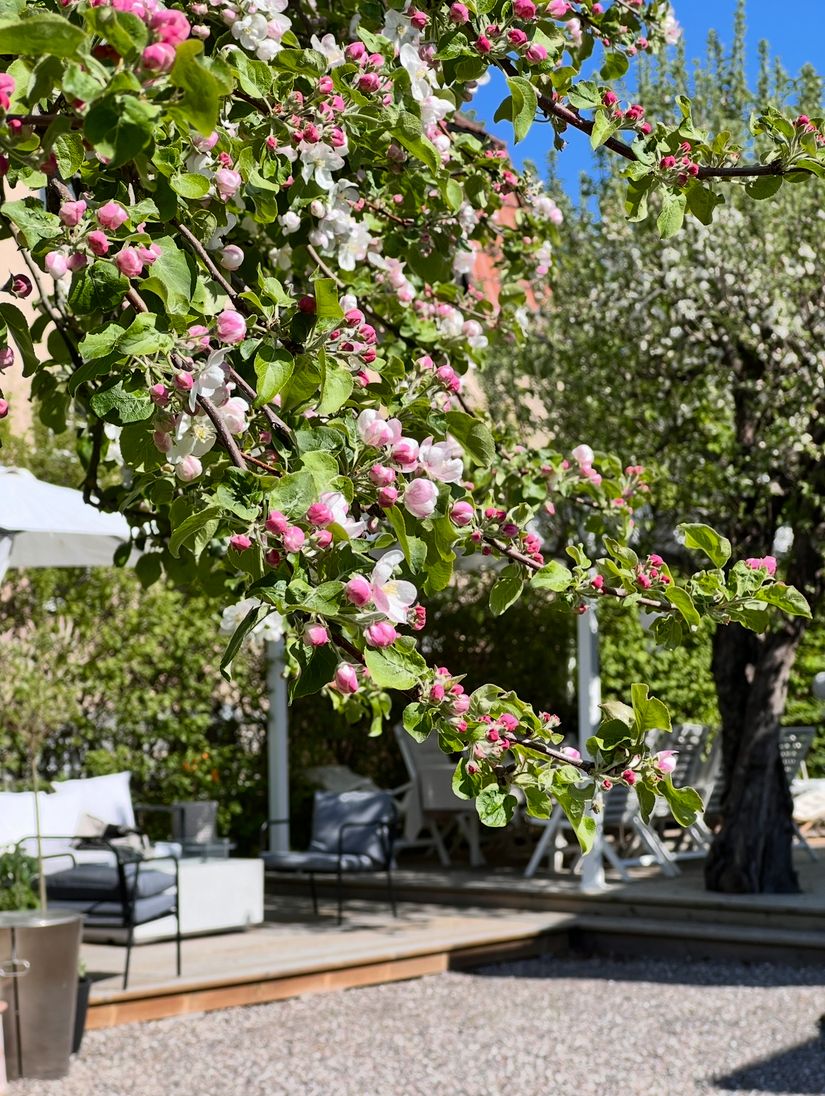 Villa, Västra Ringgatan 32, Centrum, Enköping