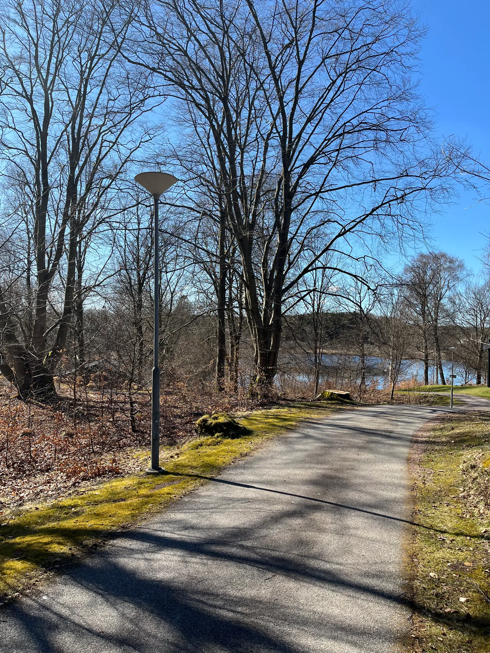 Bostadsrätt, Fritidshus, Korsaröds Sjöpark 12, Korsaröd, Höör