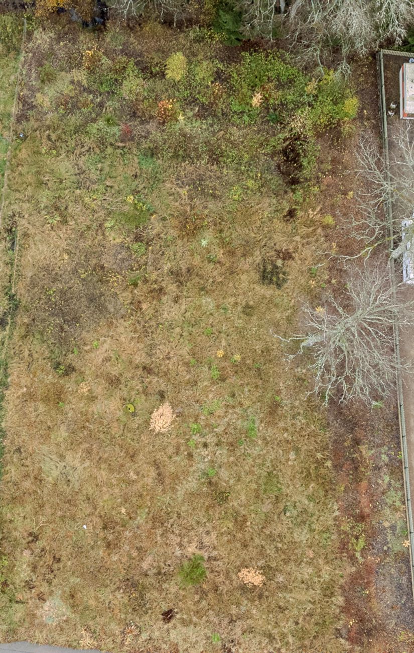 Tomt, Björkgatan 5, Örkelljunga