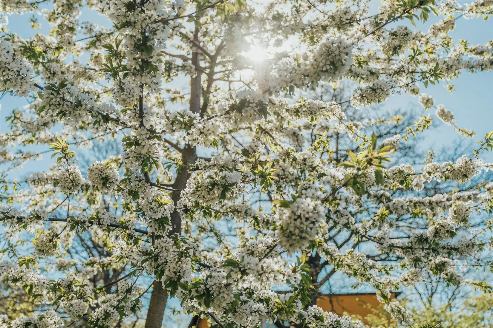 Bostadsrätt, Spångavägen 60, Riksby, Stockholm