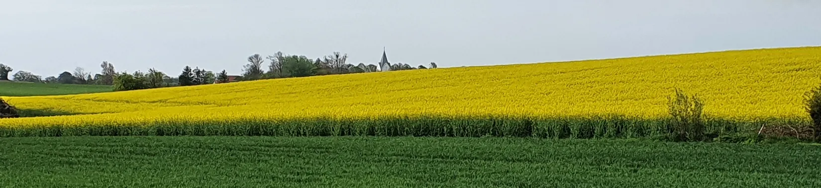 Villa, Strykerskans väg 4, Sjörup, Ystad