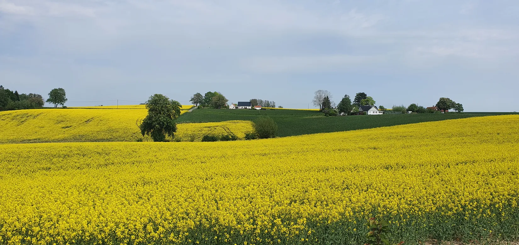 Villa, Strykerskans väg 4, Sjörup, Ystad