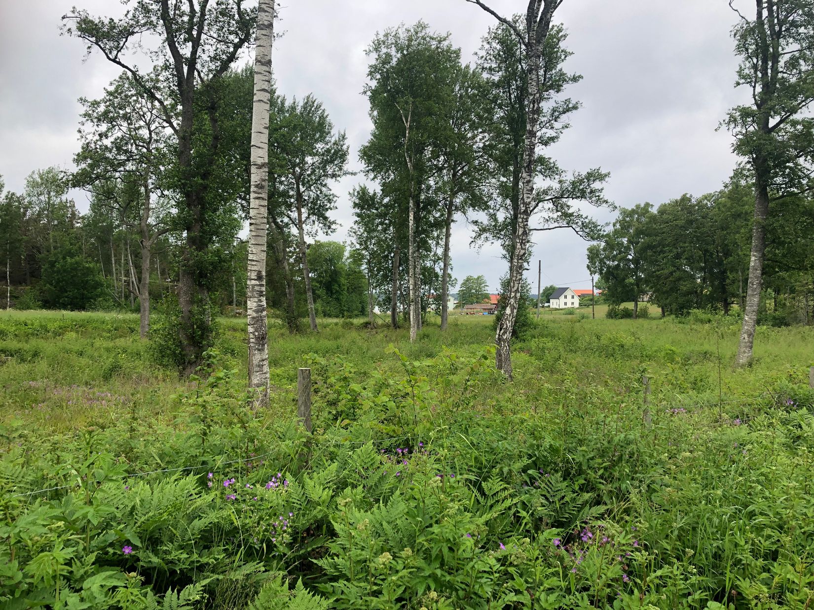 Tomt, Arholma norra byväg 22, Norrtälje