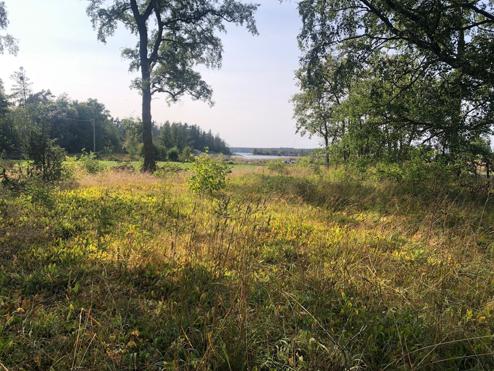 Tomt, Arholma norra byväg 22, Norrtälje