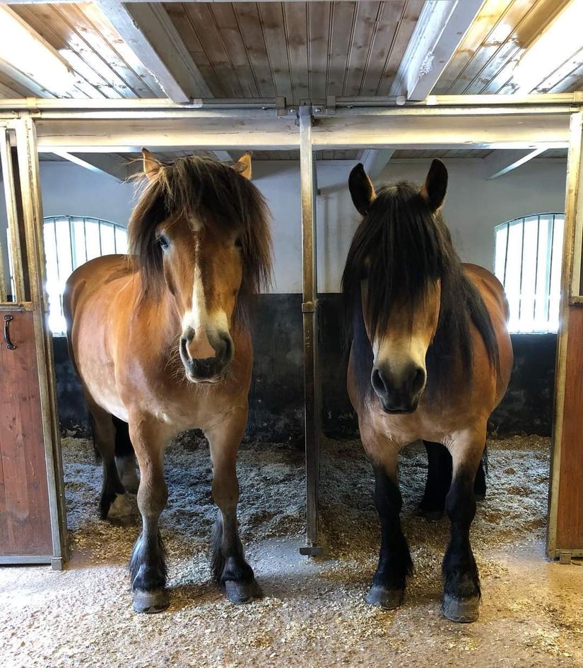 Villa, Velinga Bryntahemmet, Tidaholm