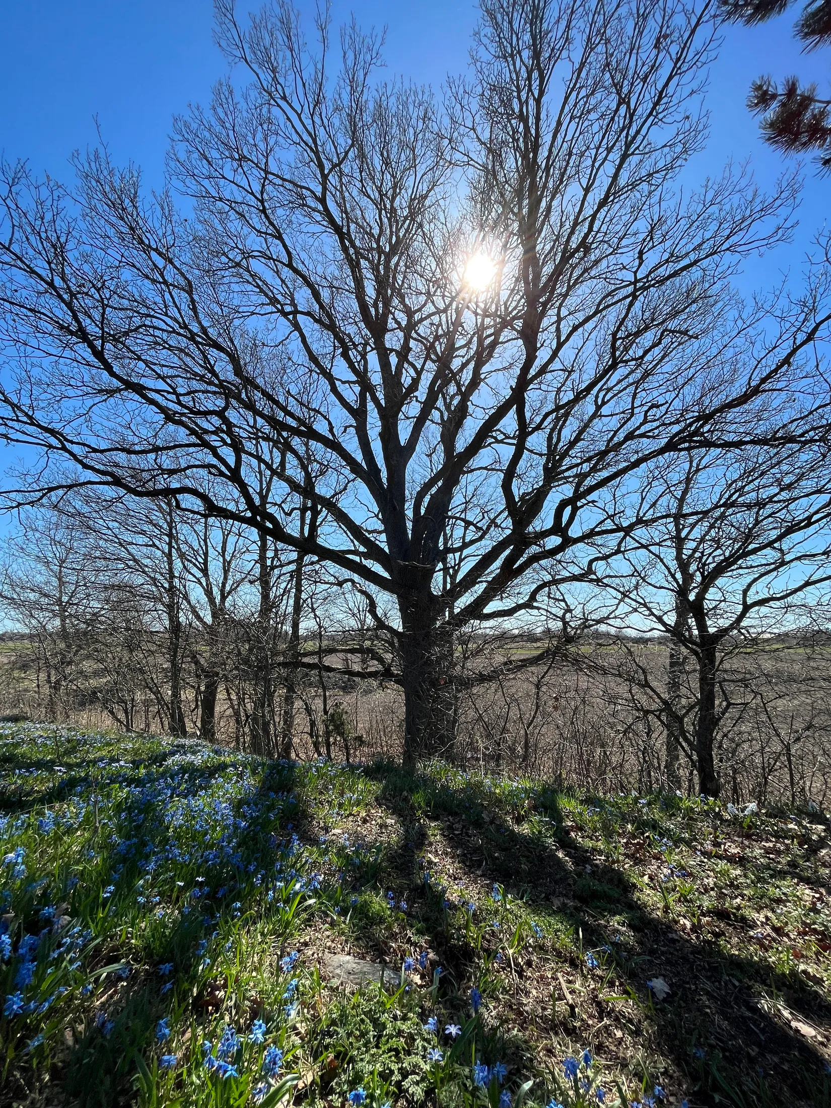 Tomt, Knylinge Lilla Knylinge 1, Östra Harg, Linköping