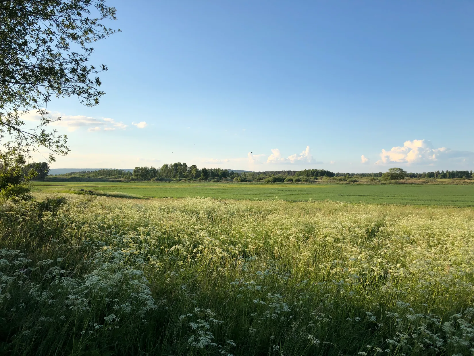 Tomt, Knylinge Lilla Knylinge 1, Östra Harg, Linköping