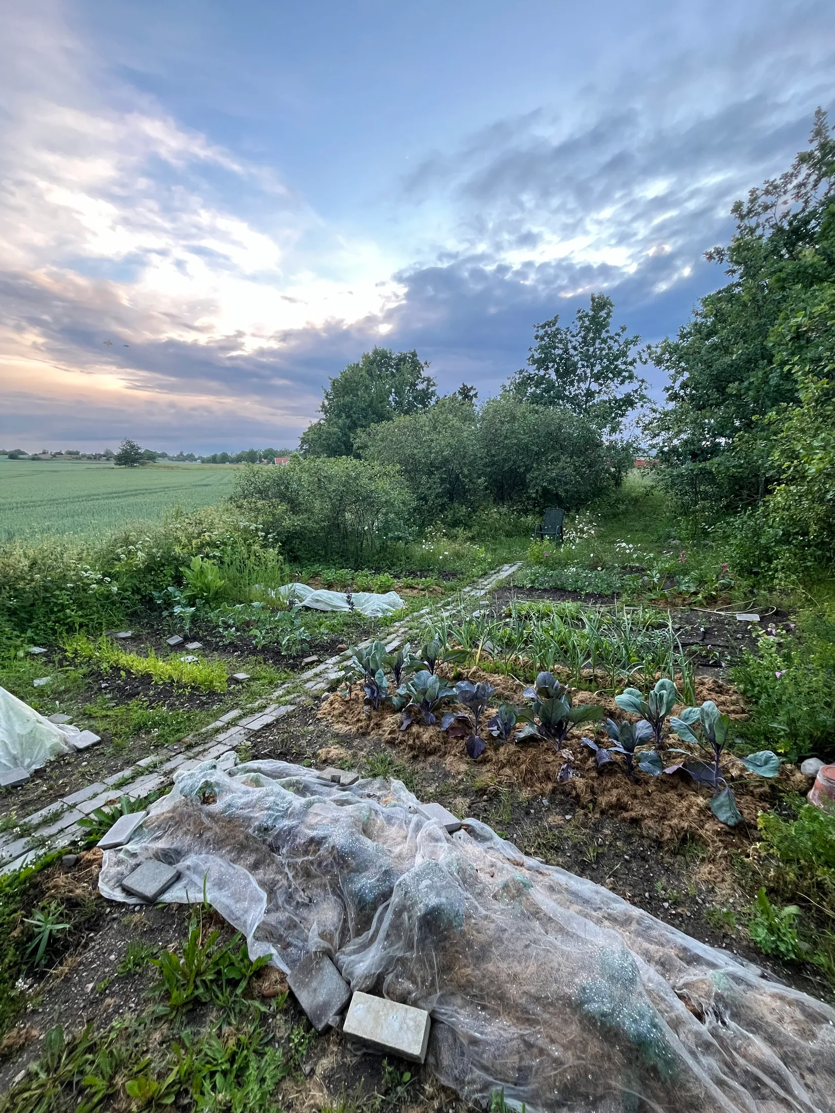 Tomt, Knylinge Lilla Knylinge 1, Östra Harg, Linköping