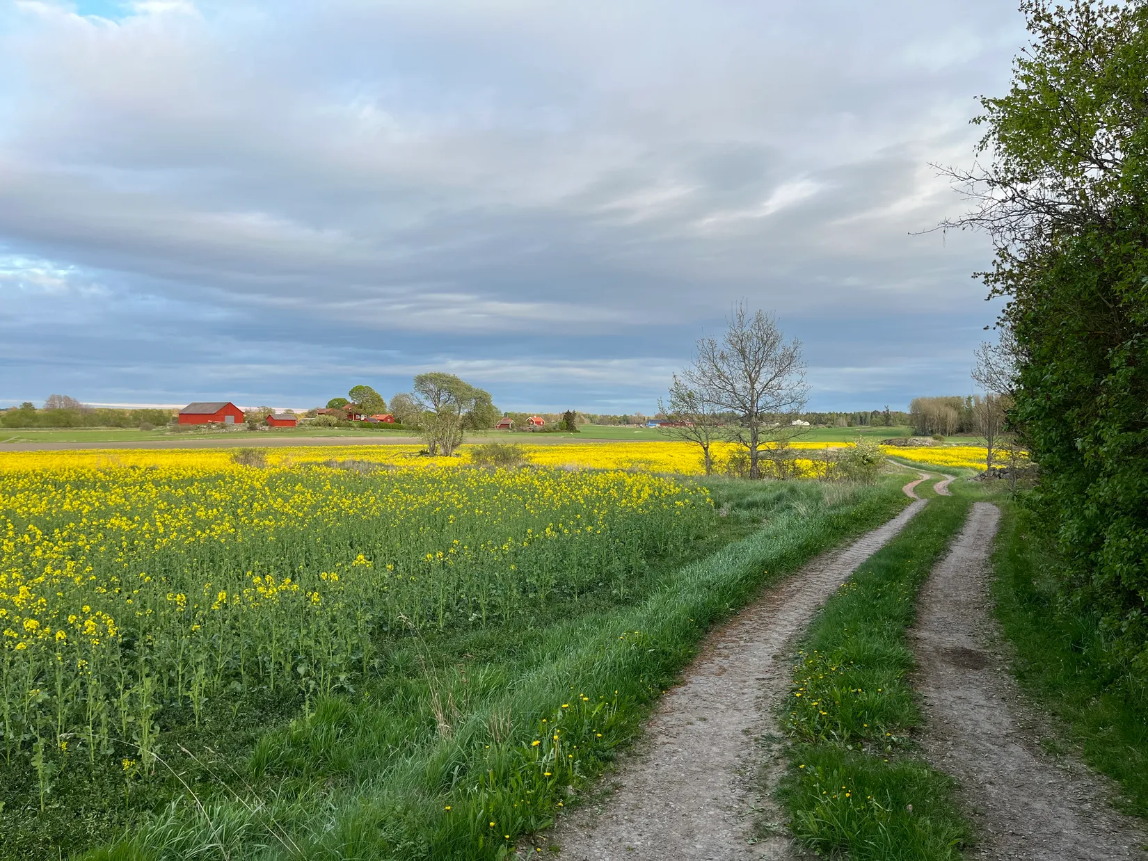 Tomt, Knylinge Lilla Knylinge 1, Östra Harg, Linköping