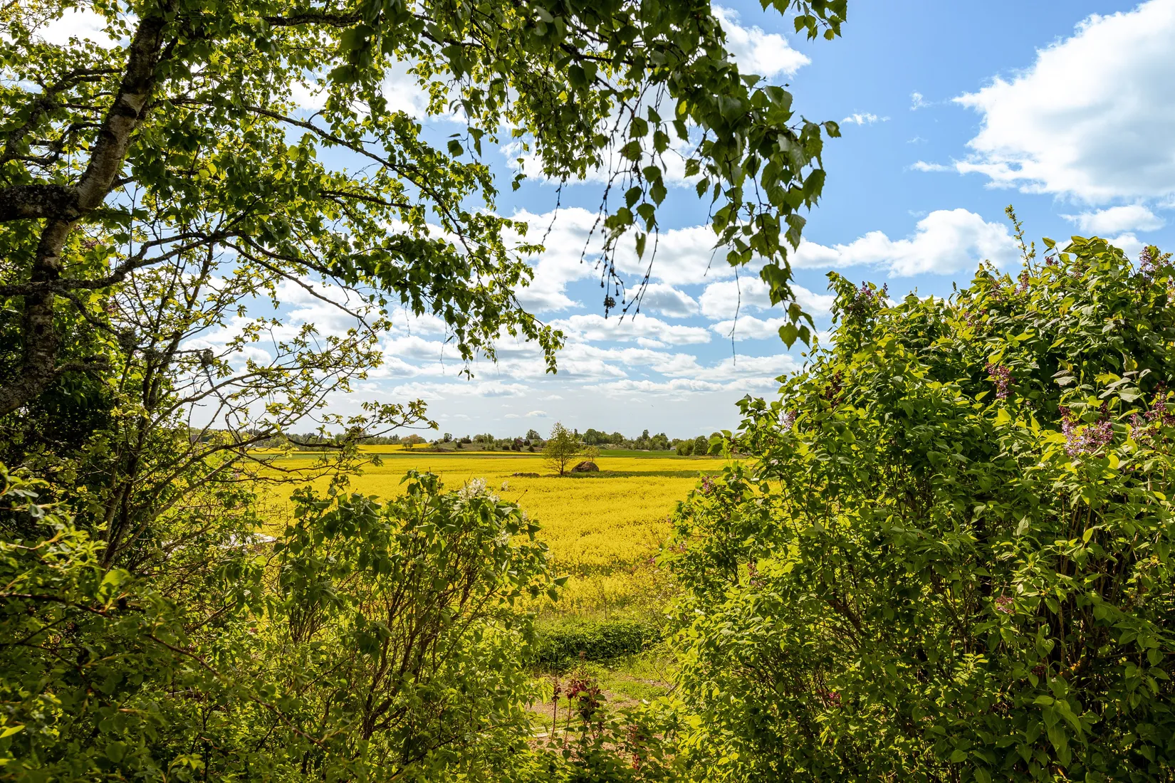 Tomt, Knylinge Lilla Knylinge 1, Östra Harg, Linköping