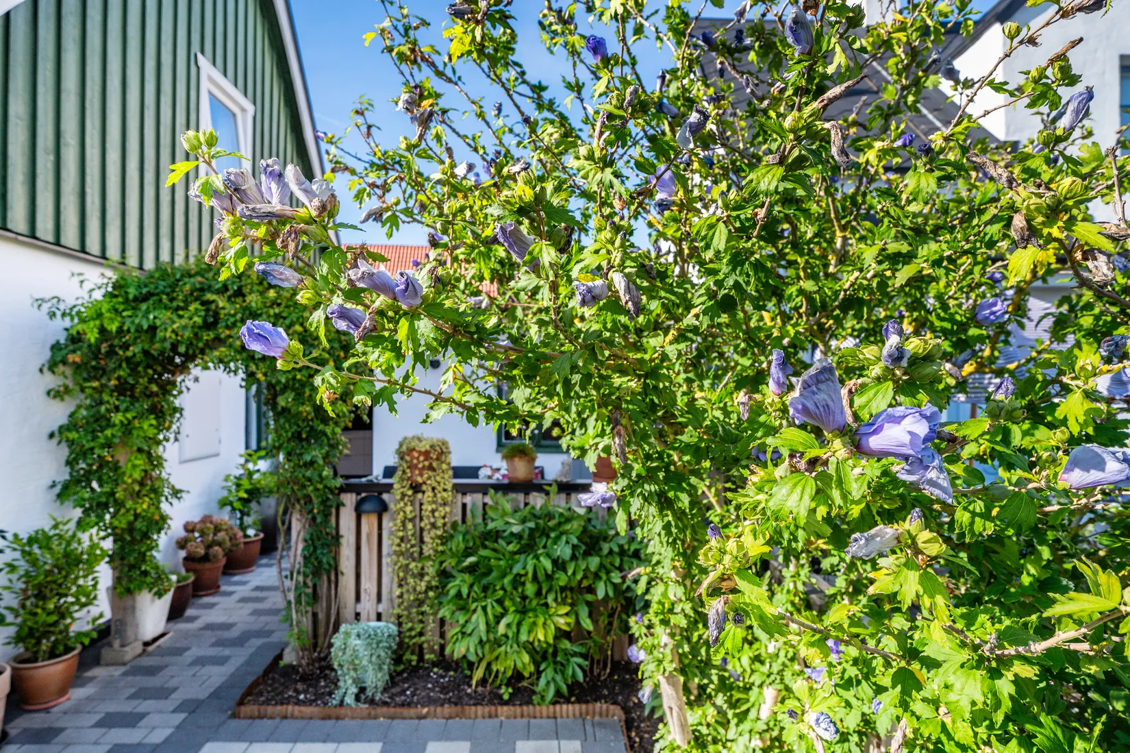 Villa, Radhus, Östra Ansgarigatan 58B, Limhamn, Malmö