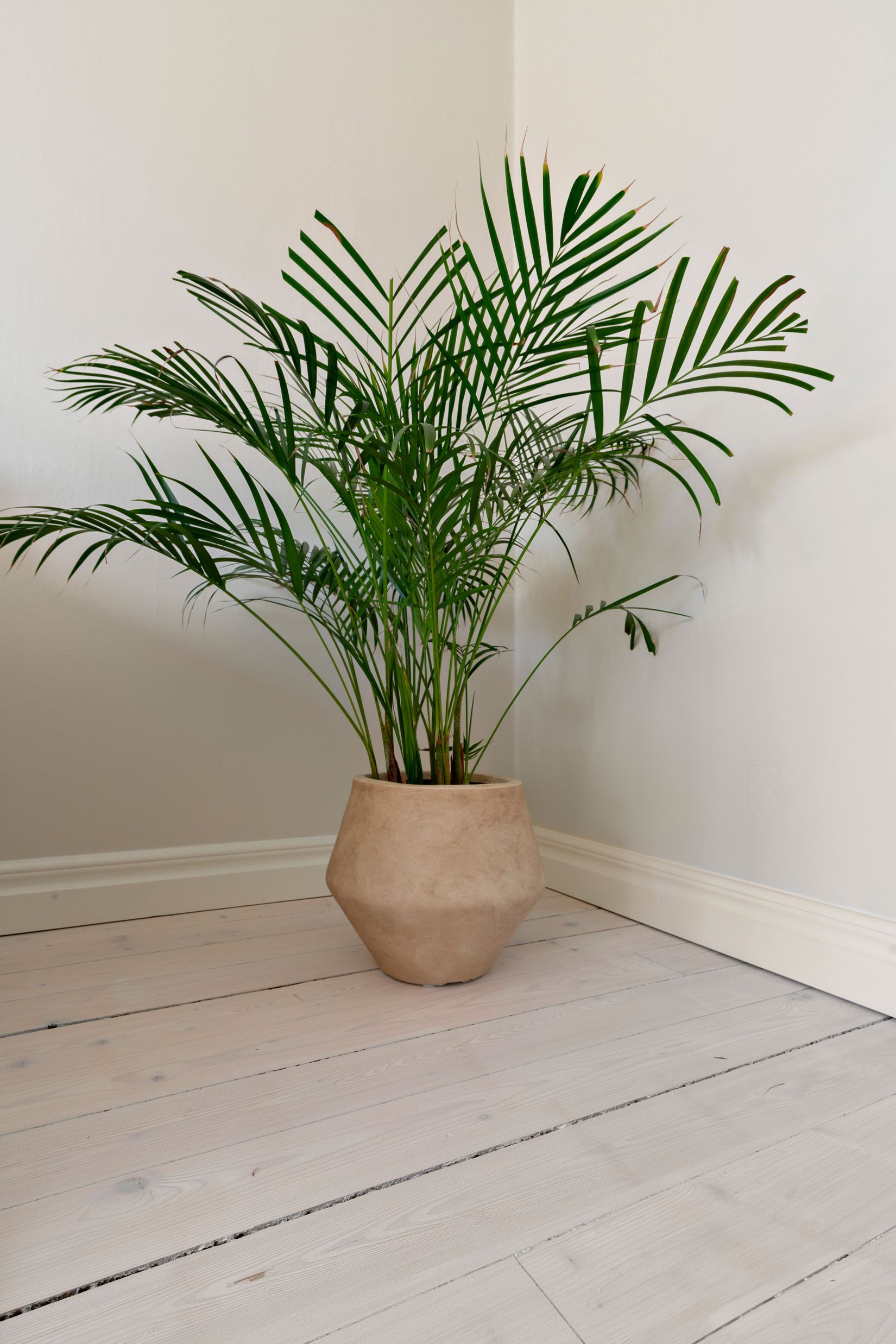 Bostadsrätt, Sågvägen 6B, Daglöstäkten, Falun