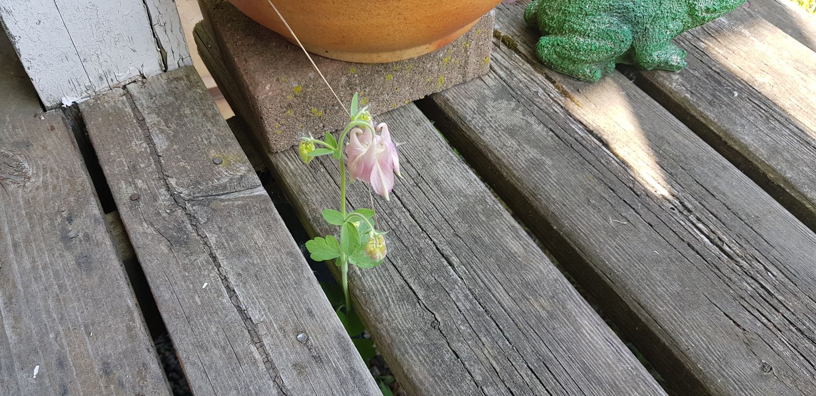 Fritidshus, Hisingsparken Västerhagen 61  Stuga nr 16, Hisingen, Göteborg