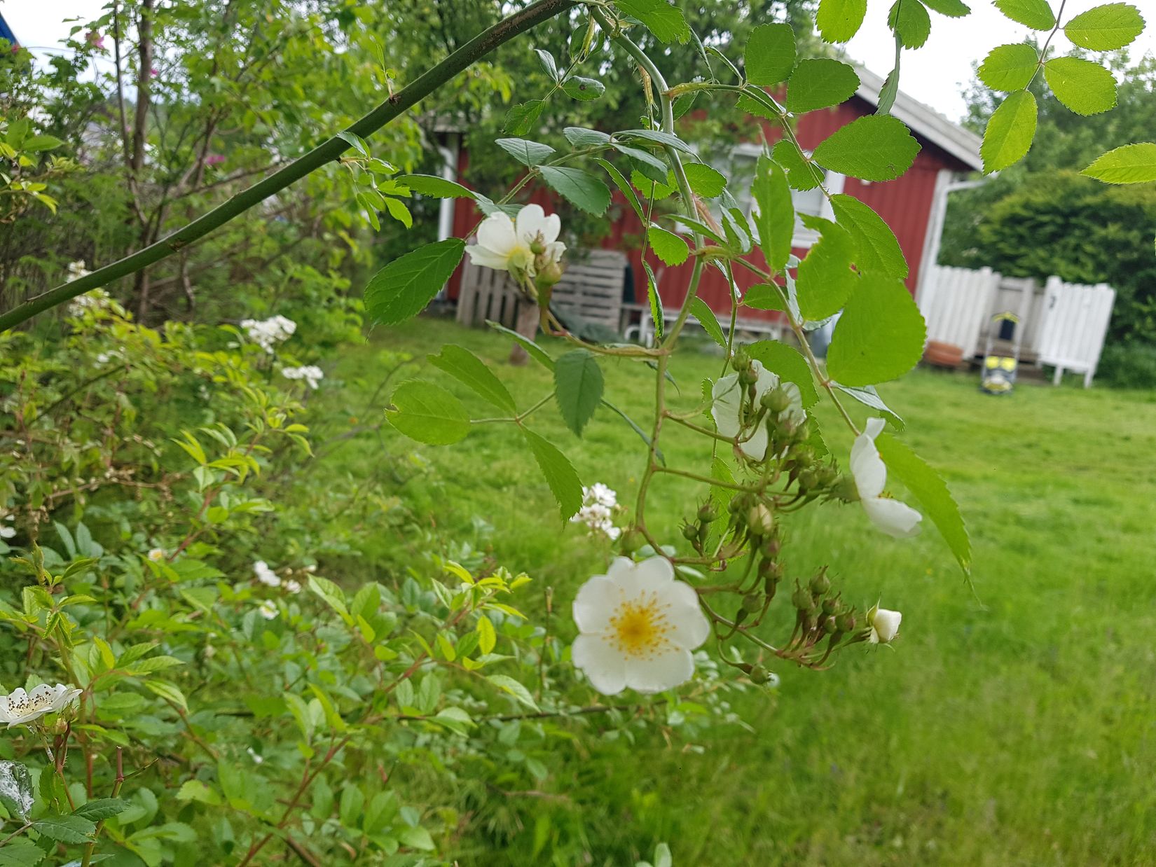 Fritidshus, Hisingsparken Västerhagen 61  Stuga nr 16, Hisingen, Göteborg