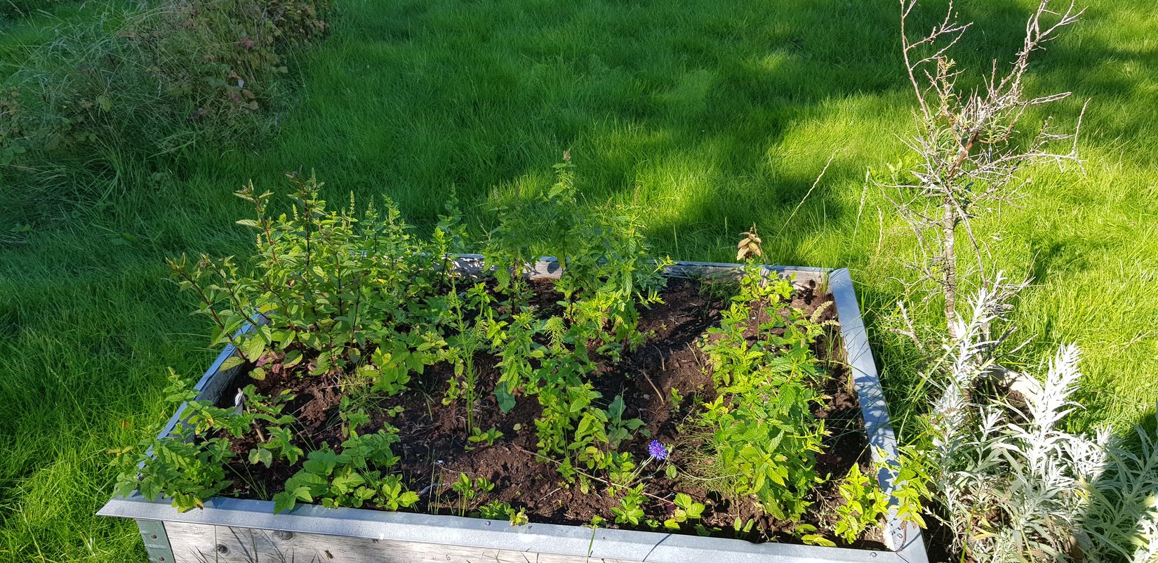 Fritidshus, Hisingsparken Västerhagen 61  Stuga nr 16, Hisingen, Göteborg