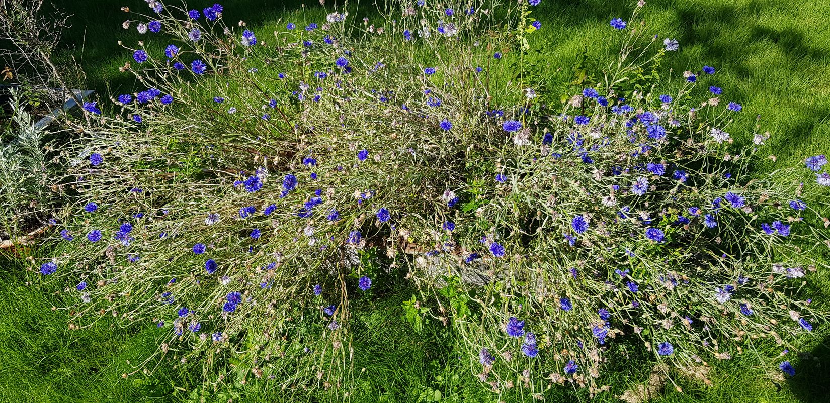 Fritidshus, Hisingsparken Västerhagen 61  Stuga nr 16, Hisingen, Göteborg