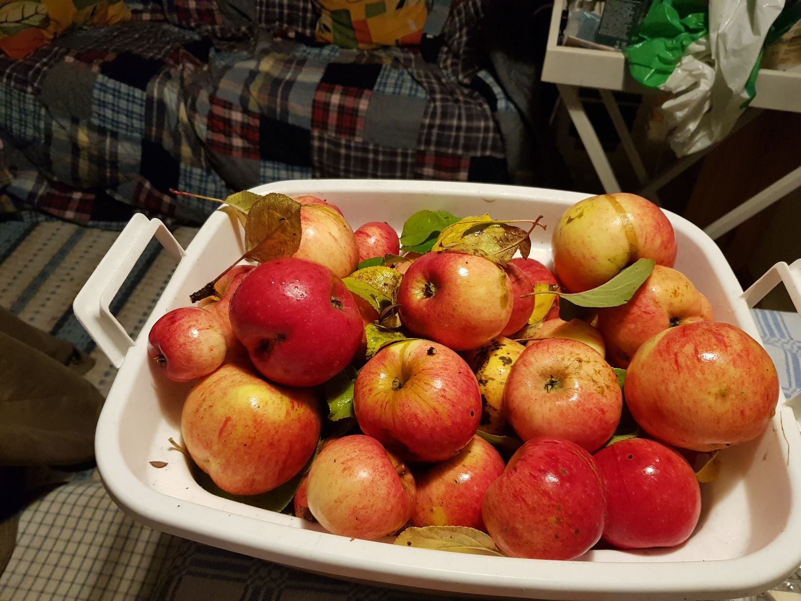 Fritidshus, Hisingsparken Västerhagen 61  Stuga nr 16, Hisingen, Göteborg