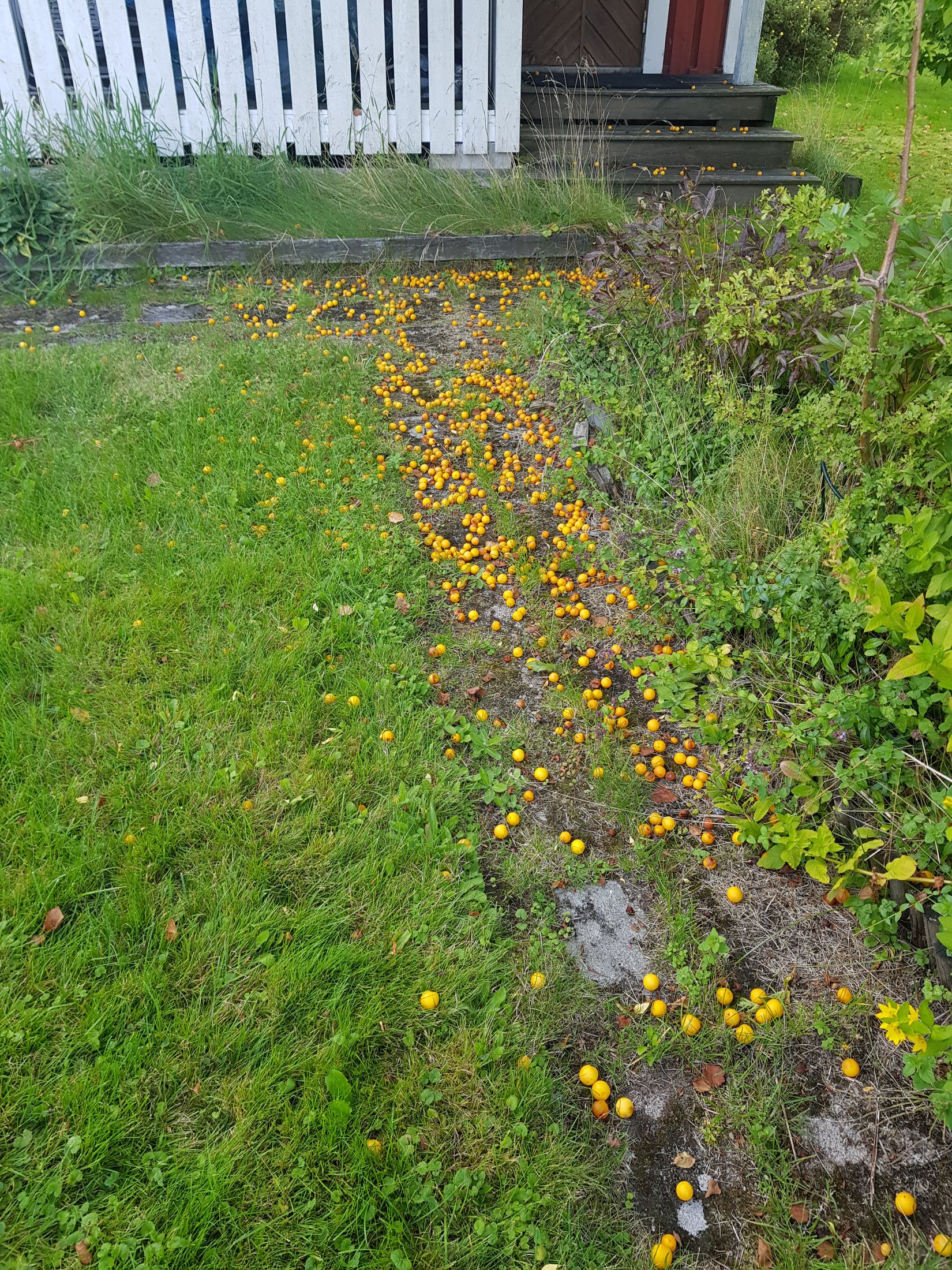 Fritidshus, Hisingsparken Västerhagen 61  Stuga nr 16, Hisingen, Göteborg