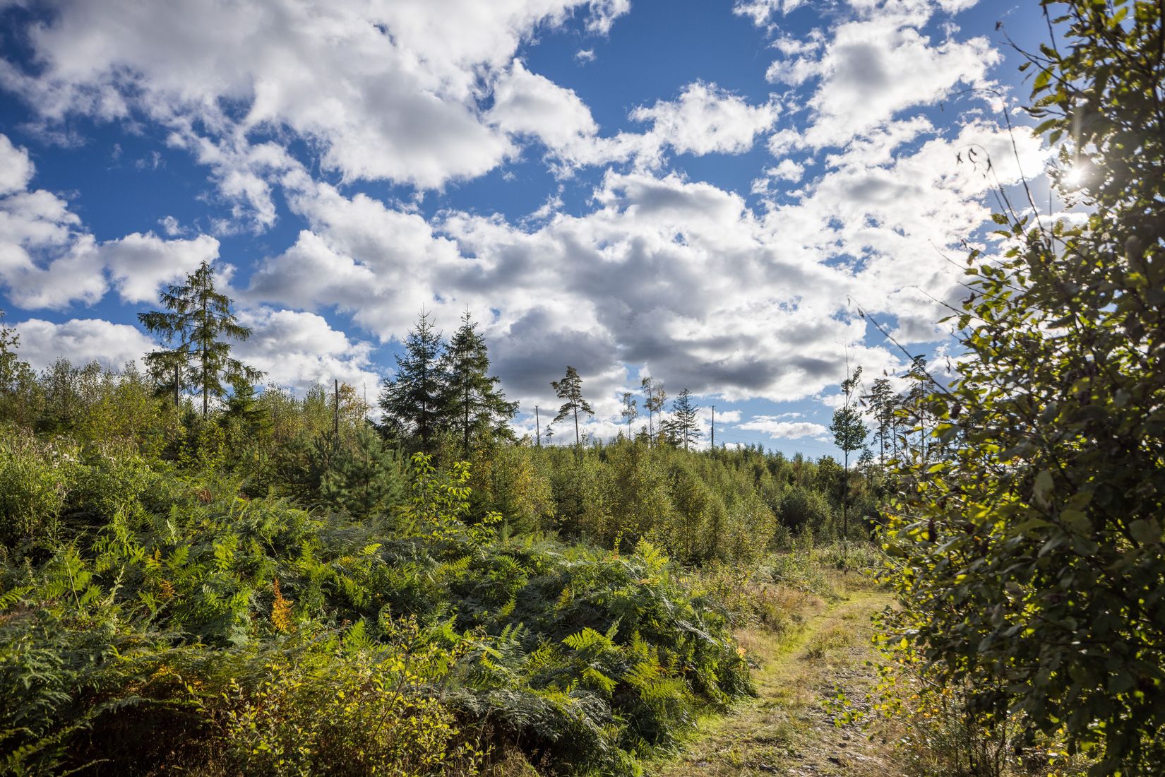 Tomt, Staviksvägen 41, Mölndal