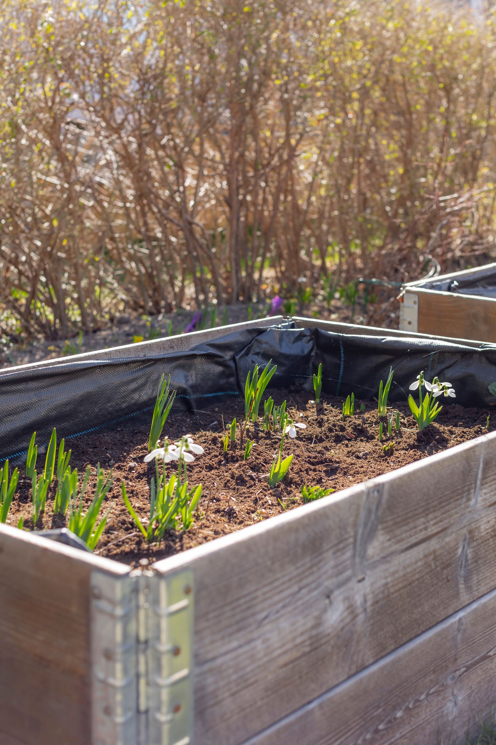 Villa, Smäckbrogatan 10, Centralt, Trosa