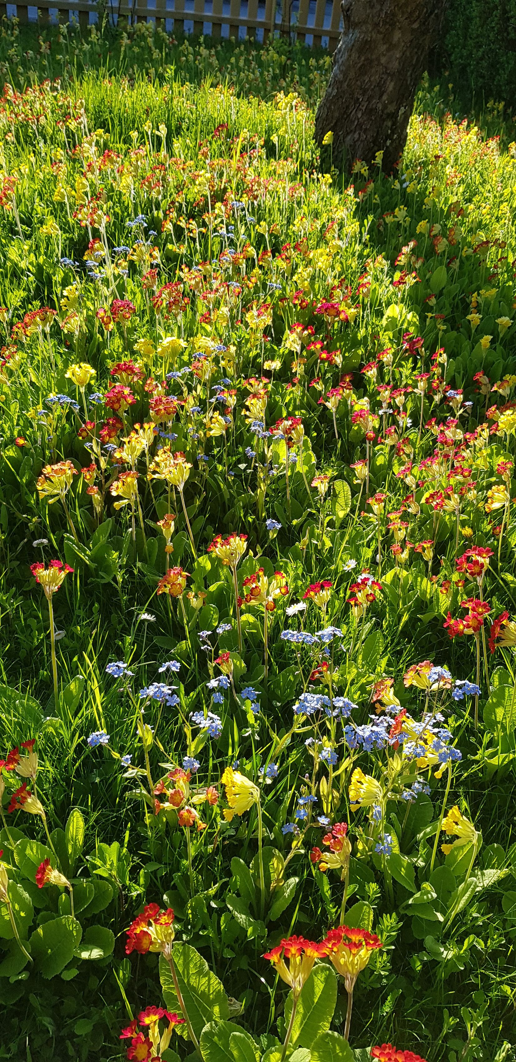 Villa, Smäckbrogatan 10, Centralt, Trosa