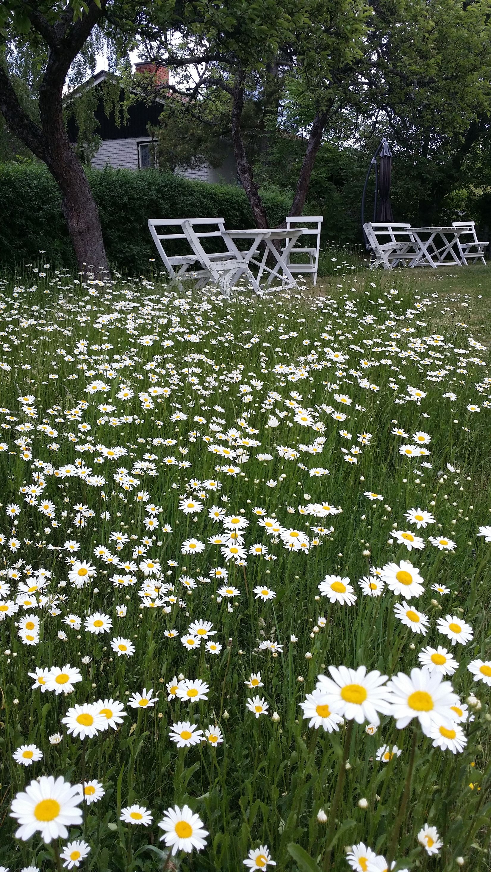 Villa, Smäckbrogatan 10, Centralt, Trosa