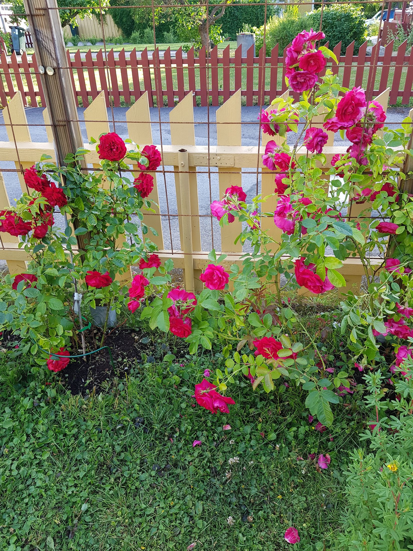 Villa, Smäckbrogatan 10, Centralt, Trosa