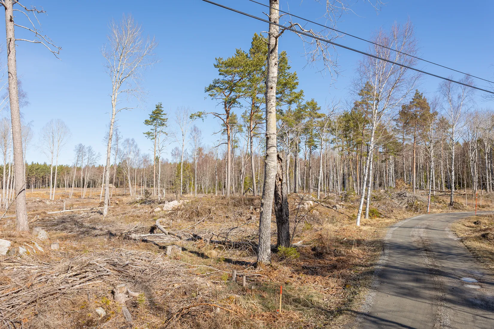 Tomt, Västerbyn (tomt 1), Gräsö, Östhammar