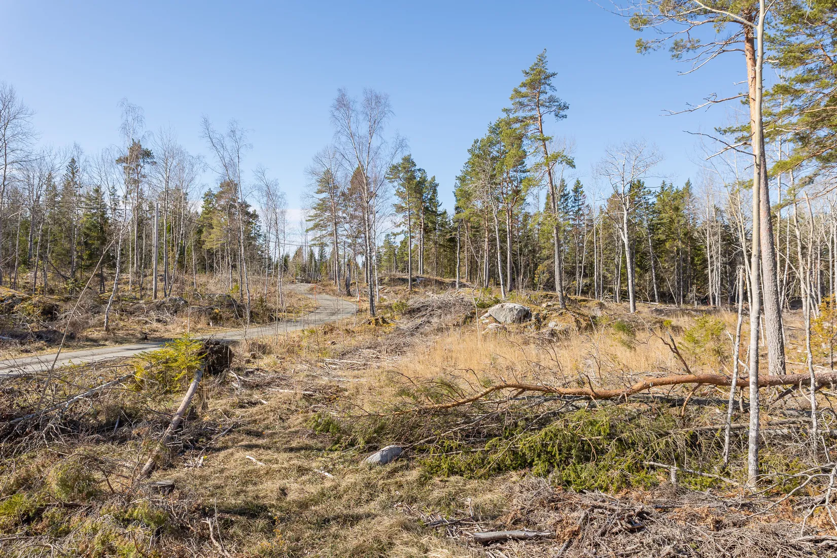 Tomt, Västerbyn (tomt 1), Gräsö, Östhammar