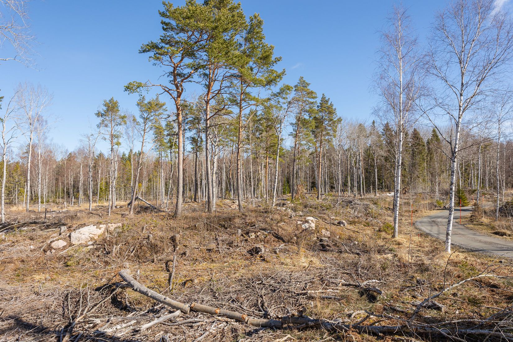 Tomt, Västerbyn (tomt 1), Gräsö, Östhammar