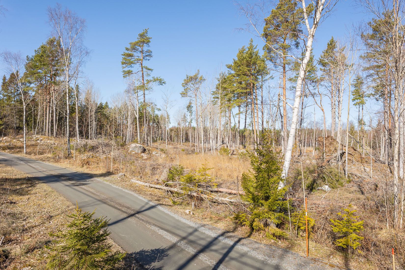 Tomt, Västerbyn (tomt 1), Gräsö, Östhammar