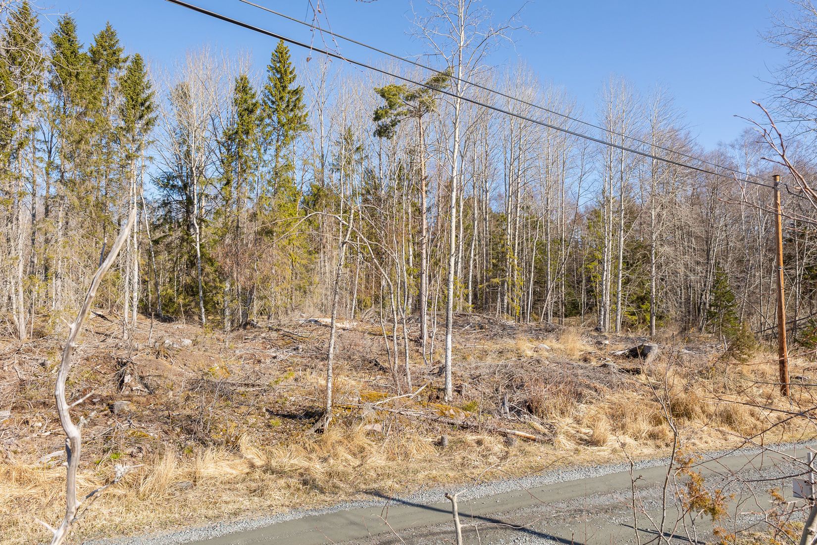 Tomt, Västerbyn (tomt 2), Gräsö, Östhammar