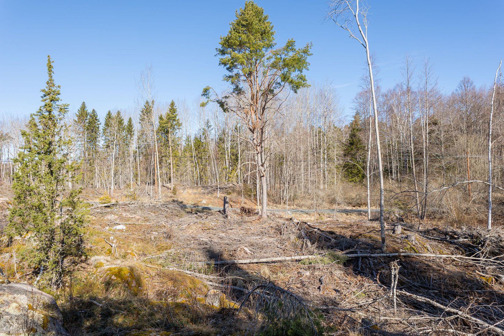 Tomt, Västerbyn (tomt 3), Gräsö, Östhammar