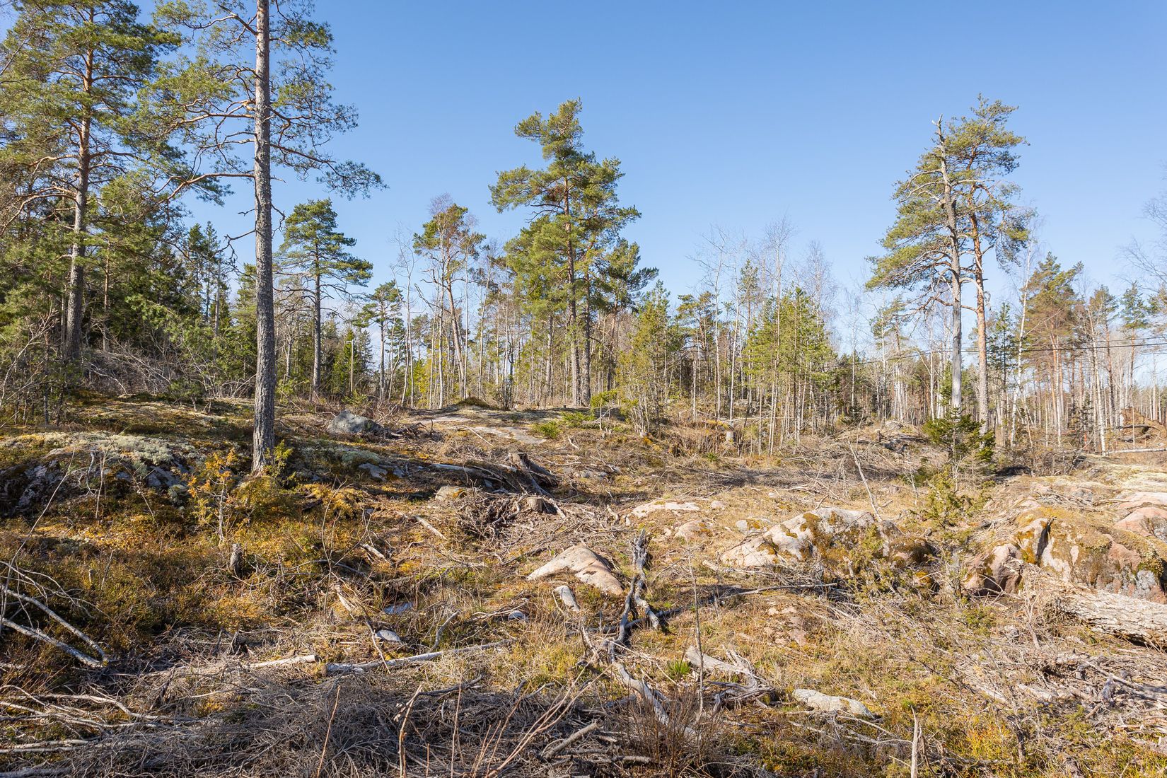 Tomt, Västerbyn (tomt 3), Gräsö, Östhammar