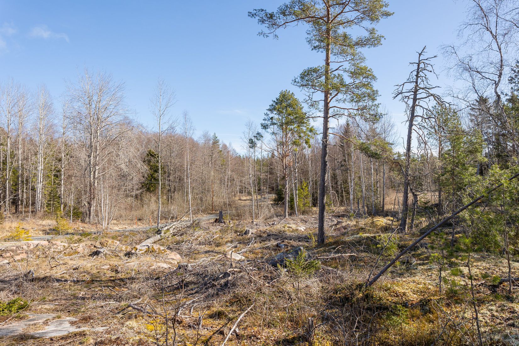 Tomt, Västerbyn (tomt 3), Gräsö, Östhammar