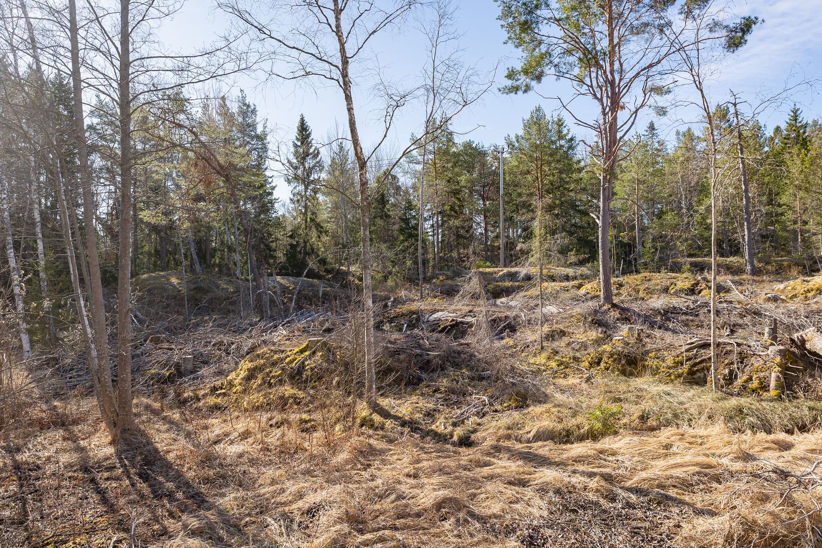 Tomt, Västerbyn (tomt 3), Gräsö, Östhammar