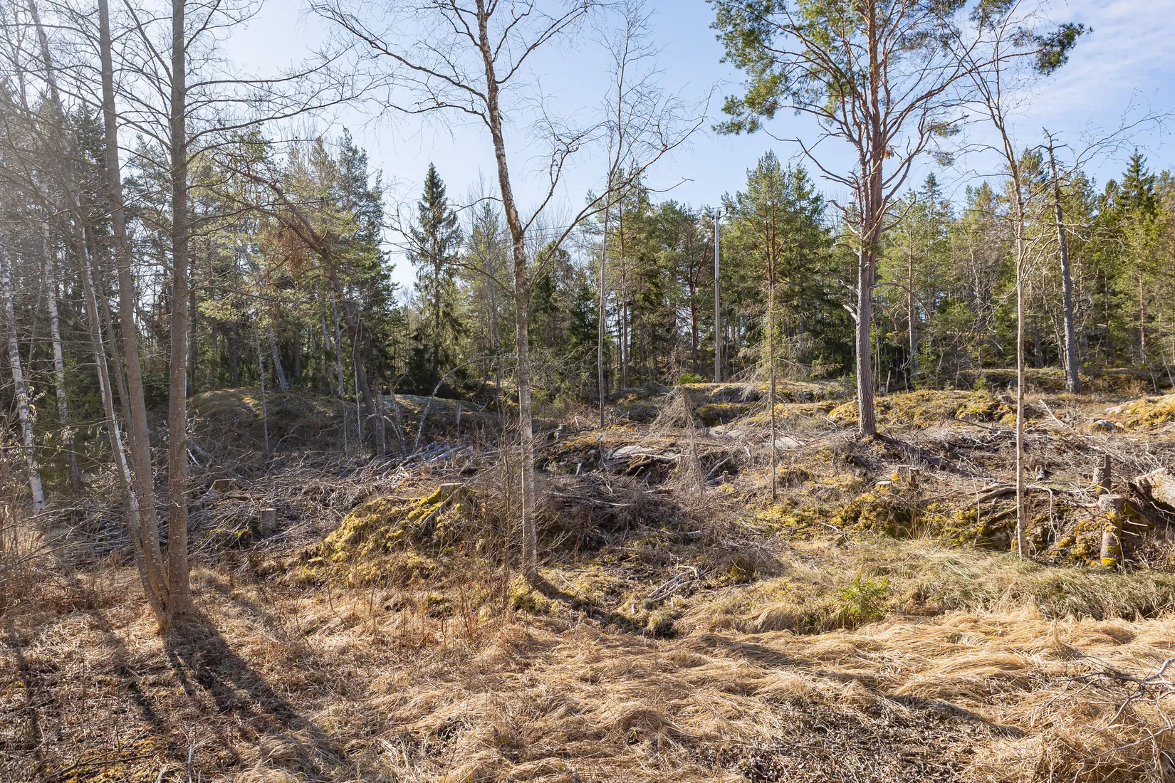 Tomt, Västerbyn (tomt 3), Gräsö, Östhammar