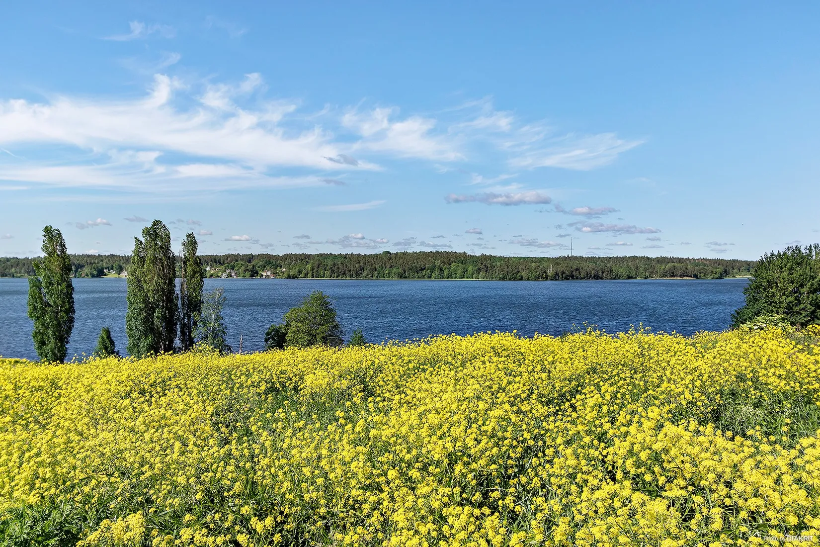 Bostadsrätt, Drivbänksvägen 13a, Hässelby - Hässelby villastad, Stockholm