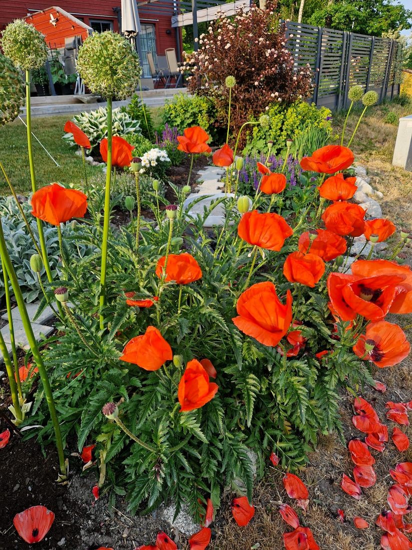 Bostadsrätt, Radhus, Svinningevägen 127A, Svinninge, Österåker