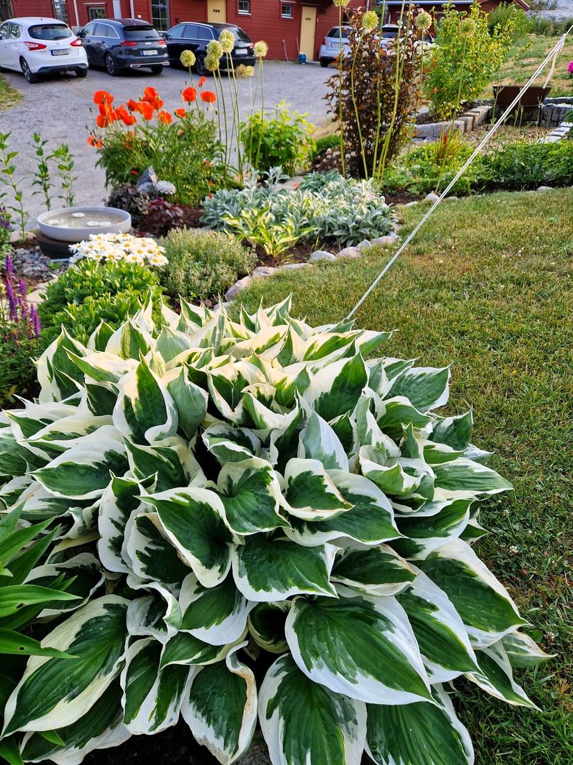 Bostadsrätt, Radhus, Svinningevägen 127A, Svinninge, Österåker