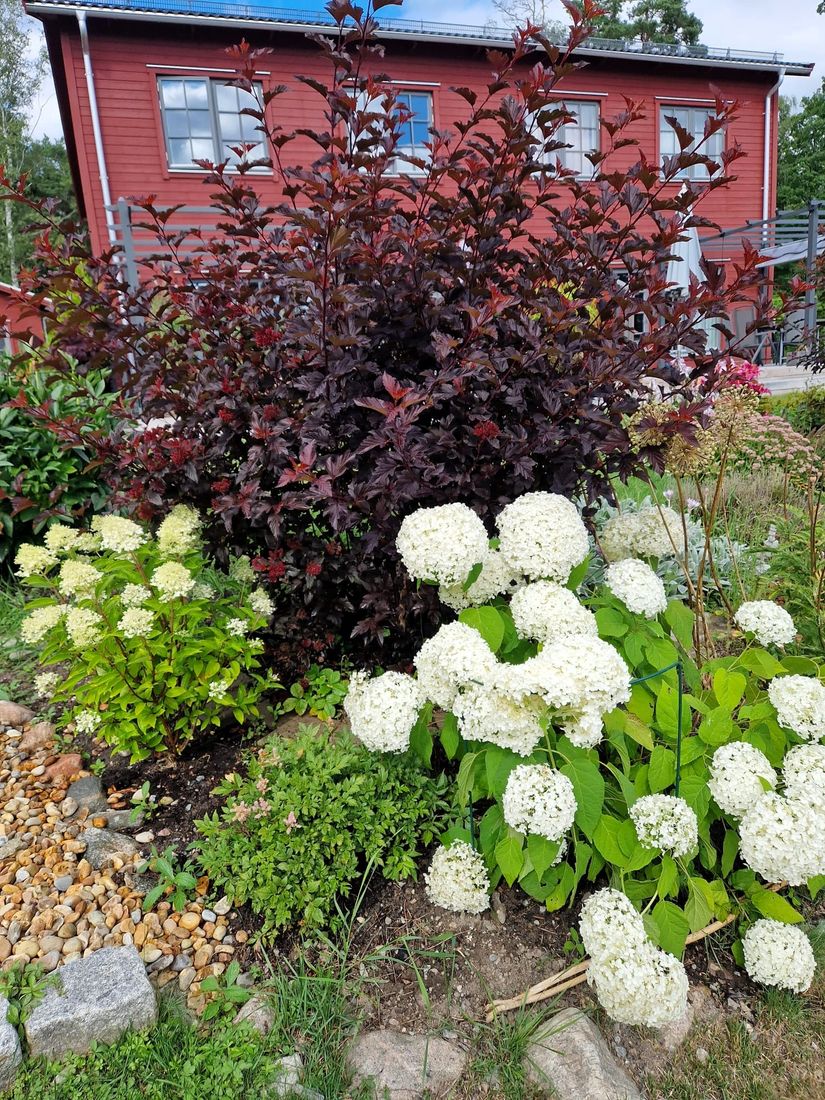 Bostadsrätt, Radhus, Svinningevägen 127A, Svinninge, Österåker